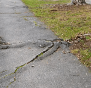concrete driveway repair or replace