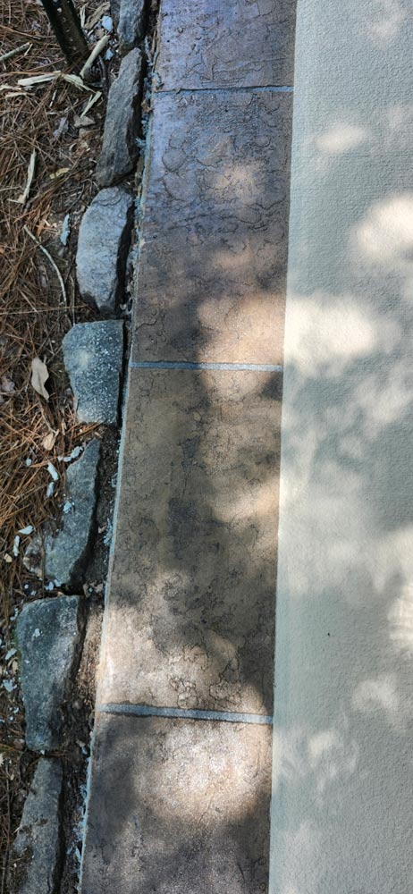 Sunlight and tree shadows fall across tiles next to a stone border and pine needles.