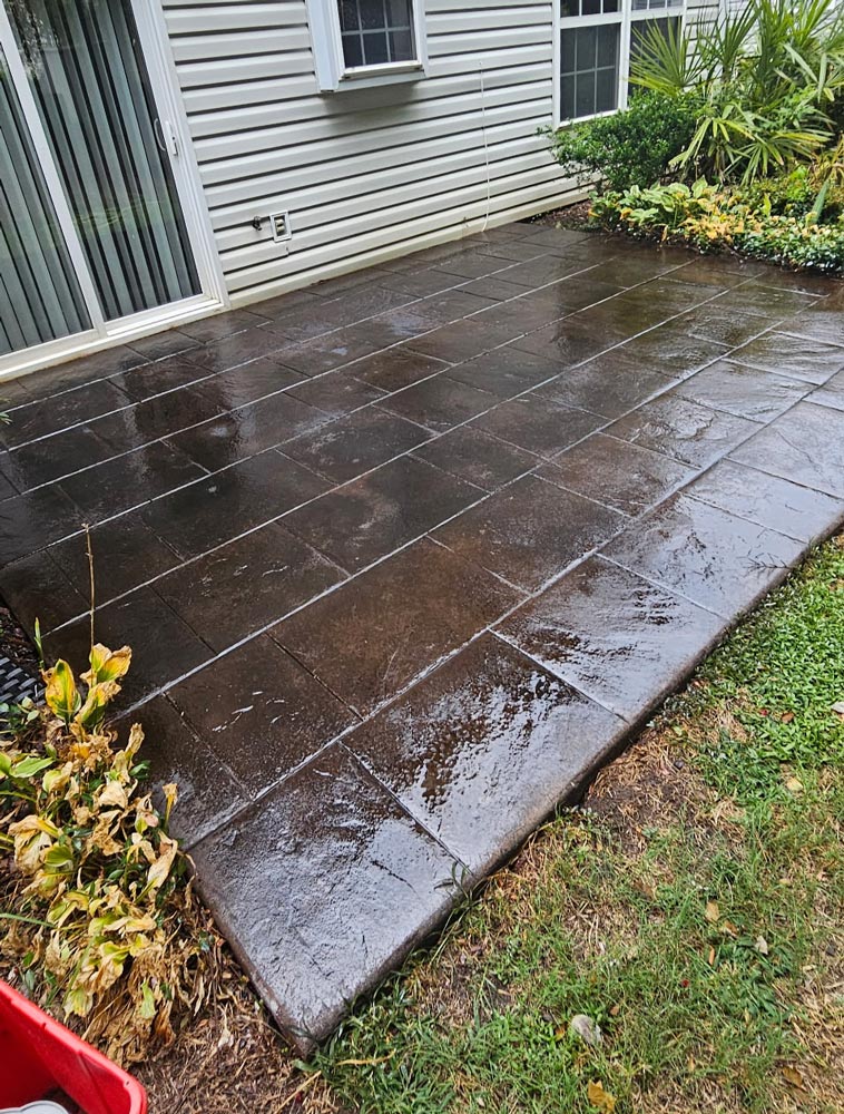 A wet, dark concrete patio next to a house with plants and grass bordering the edge.